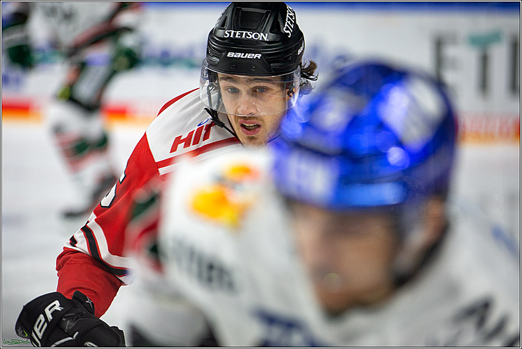 PENNY DEL; Koelner Haie- Augsburger Panther; Koeln, 20.12.2022